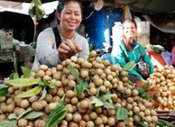 (Cambodian fresh longan is mainly exported to China, Thailand, or consumed locally - Photo: Phnompenh Post)