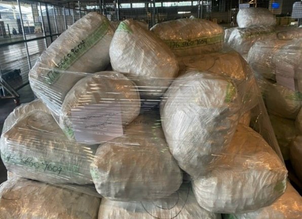 (Shipment of swim bladders imported to SCSC, Vietnam)